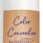 Corrective Concealer